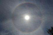 In Canto Alto (1146 m) da casa (Zogno, 310 m) ad anello il 7 maggio 2019 - FOTOGALLERY
